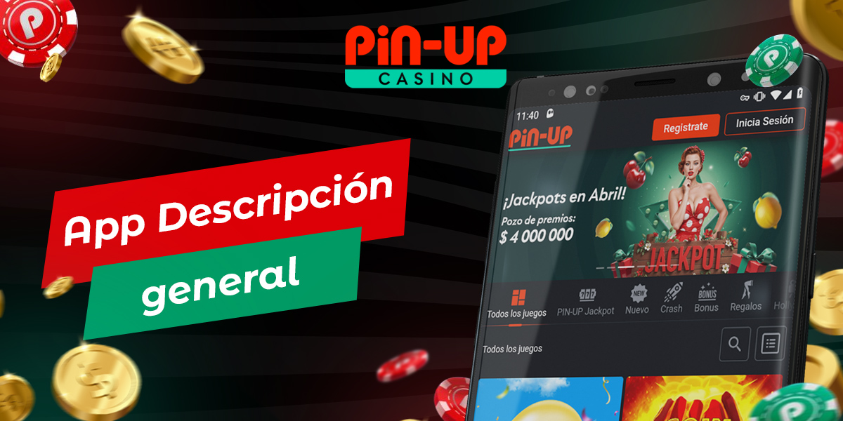 Tabla con las características generales de la aplicación móvil Pin Up