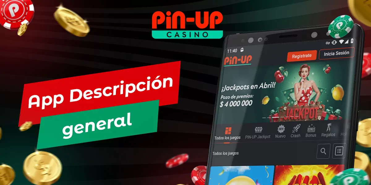Tabla con las características generales de la aplicación móvil Pin Up