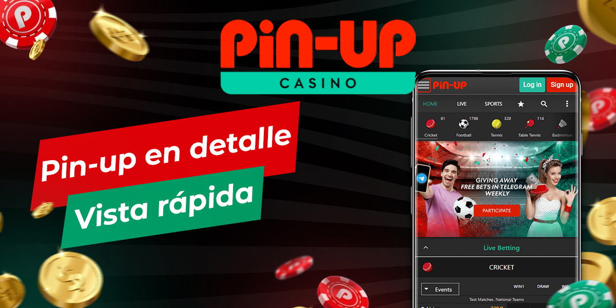 Visión general del sitio web de la casa de apuestas Pin-up